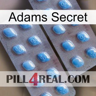 Adams Secret viagra4